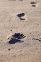 Op blote voeten lopen is beter voor je schenen / Bron: Unsplash, Pixabay