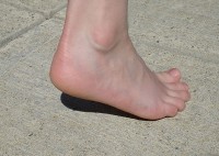 Een gezonde voet / Bron: Stilfehler, Wikimedia Commons (CC BY-SA-3.0)