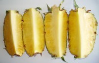 Het vruchtvlees van de ananas heeft een enigszins dradig doch zacht gevoel / Bron: Garitzko, Wikimedia Commons (Publiek domein)