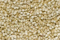 Quinoa / Bron: Pom², Wikimedia Commons (CC BY-SA-3.0)