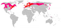 Mondiale verspreiding zonnedauw / Bron: Publiek domein, Wikimedia Commons (PD)