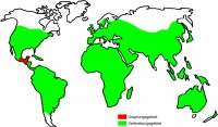 In het rood is de herkomst van amarant afgebeeld en in het groen het huidige verspreidingsgebied. / Bron: Qhx, Wikimedia Commons (CC BY-SA-3.0)
