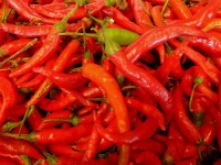 Paprika pepers / Bron: Krossbow, Flickr (CC BY-2.0)
