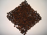 Zwarte peper / Bron: Miansari66, Wikimedia Commons (Publiek domein)