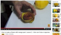 Een roos gemaakt van mangoschil