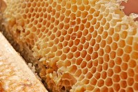 Met honing kun je siroop maken / Bron: fir0002, Wikimedia Commons (GFDL-1.2)