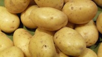 Aardappelen bevatten veel kalium / Bron: Spedona, Wikimedia Commons (CC BY-SA-3.0)