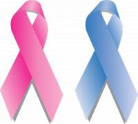 Aandacht voor borstkanker / Bron: Maialisa, Pixabay